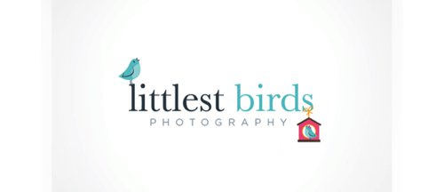 littlest birds PHOTOGRAPHY