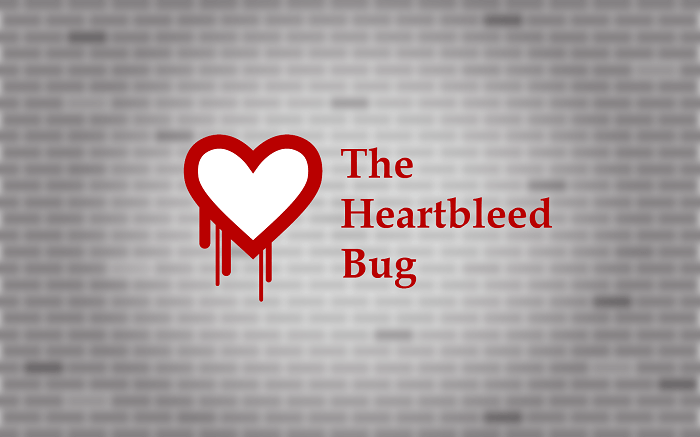 Heartbleed Bug 