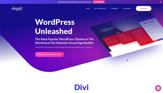 Divi WordPress theme