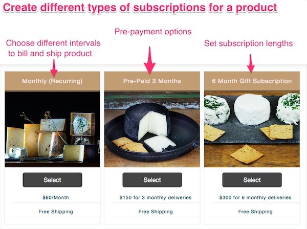 Ecommerce subscription strategy