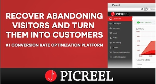 PicReel ecommerce plugin