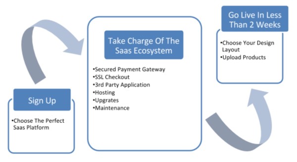 SaaS structure