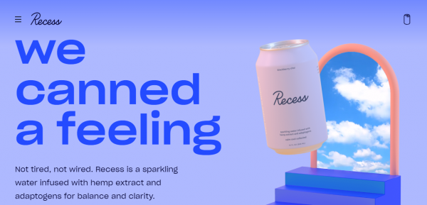 ecommerce website - Recess store