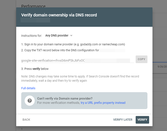 verify domain 