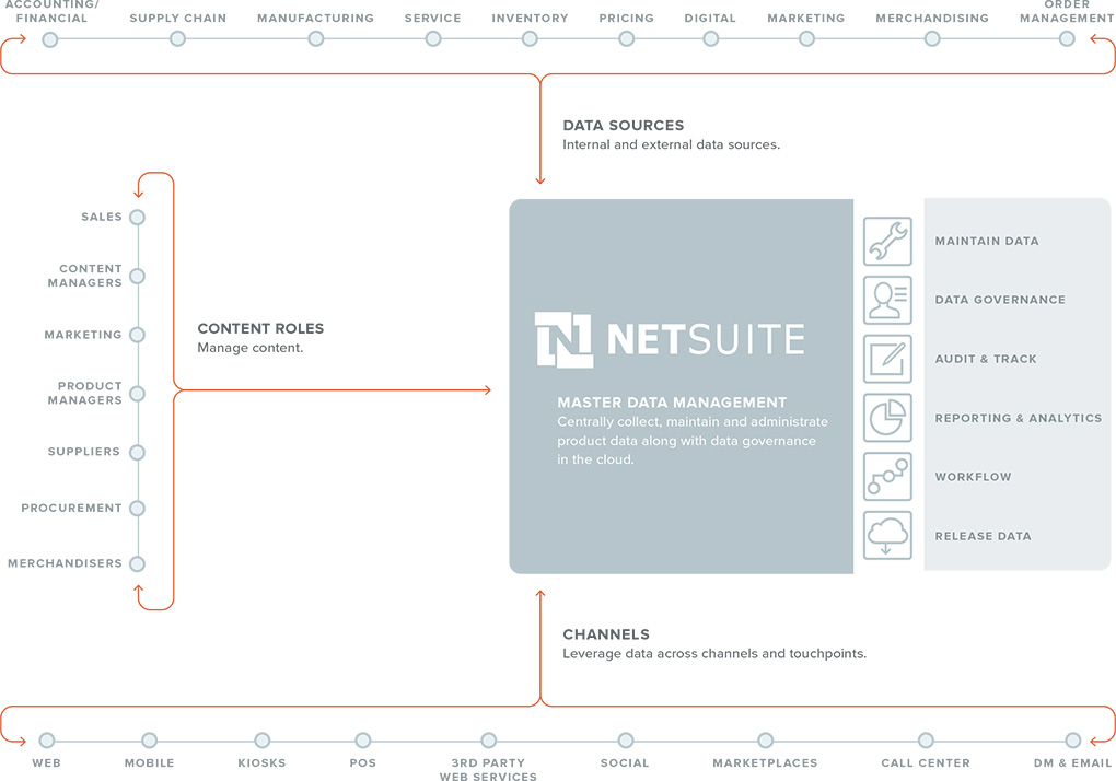 netsuite business data analisys