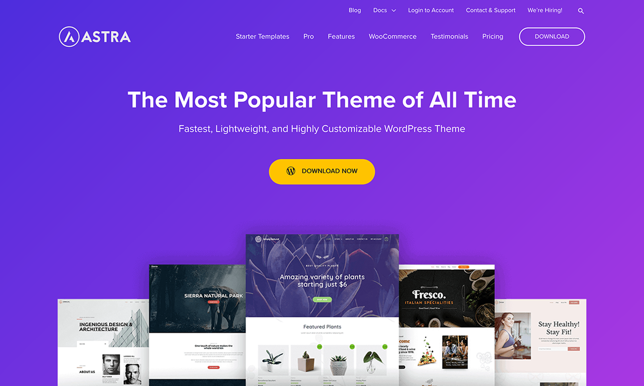 wp astra ecommerce theme deal