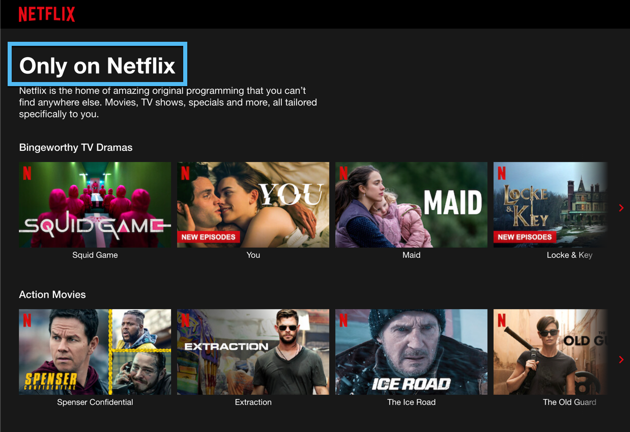 netflix - how to start a subscription business