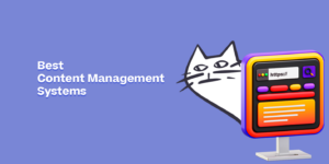 best content management systems cms social