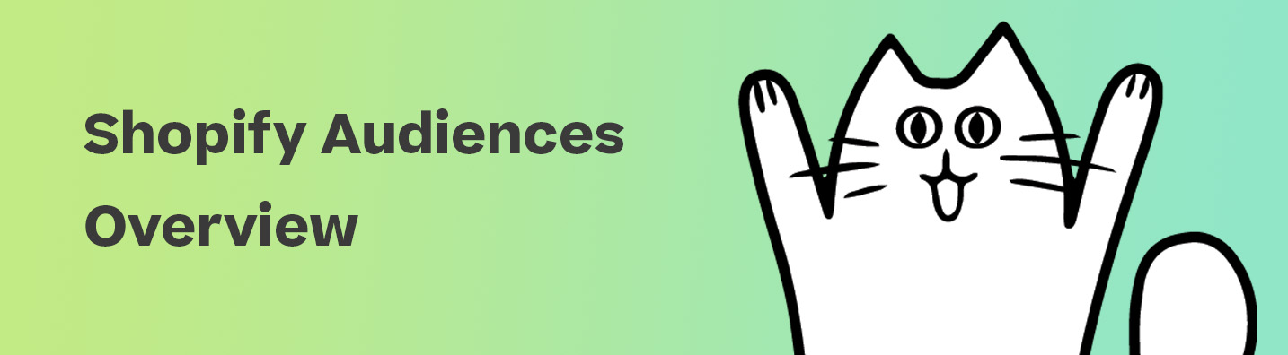 What is Shopify Audiences? A Complete Shopify Audiences Review