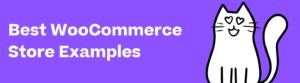Best WooCommerce Store Examples
