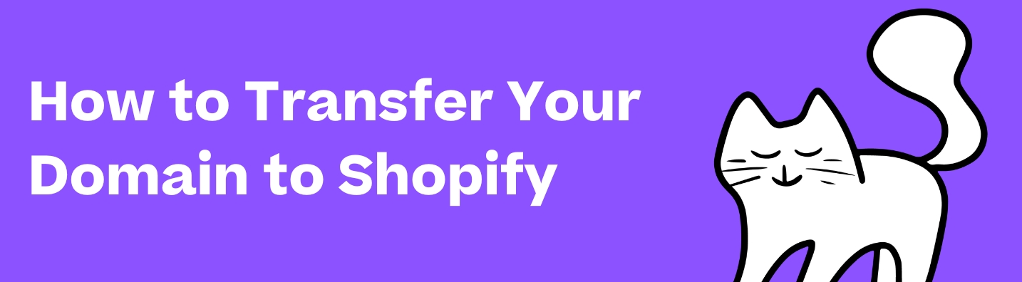 How to Transfer Your Domain to Shopify (2023)