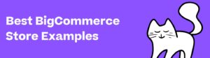 Best BigCommerce Store Examples