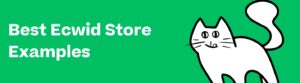 Best Ecwid Store Examples